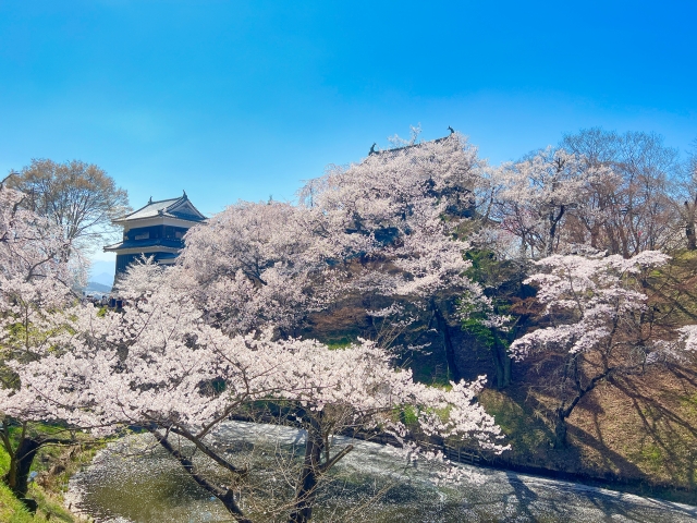 長野県でおすすめのブライダルエステを徹底比較！