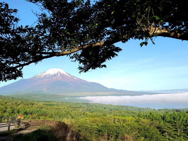 山梨県でおすすめのブライダルエステを徹底比較！