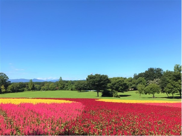  国営武蔵丘陵森林公園