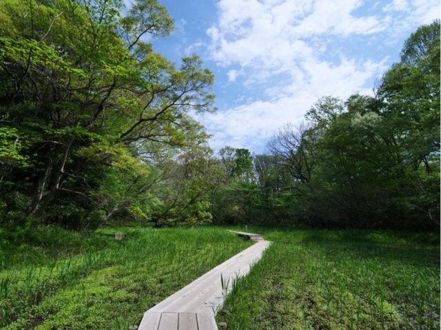 北本自然観察公園